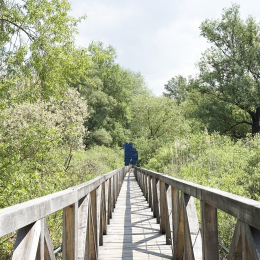 Greg András - Kortárs magyar építészet alkotásai
